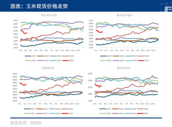 中粮期货：玉米节后回暖 迎来春暖花开？