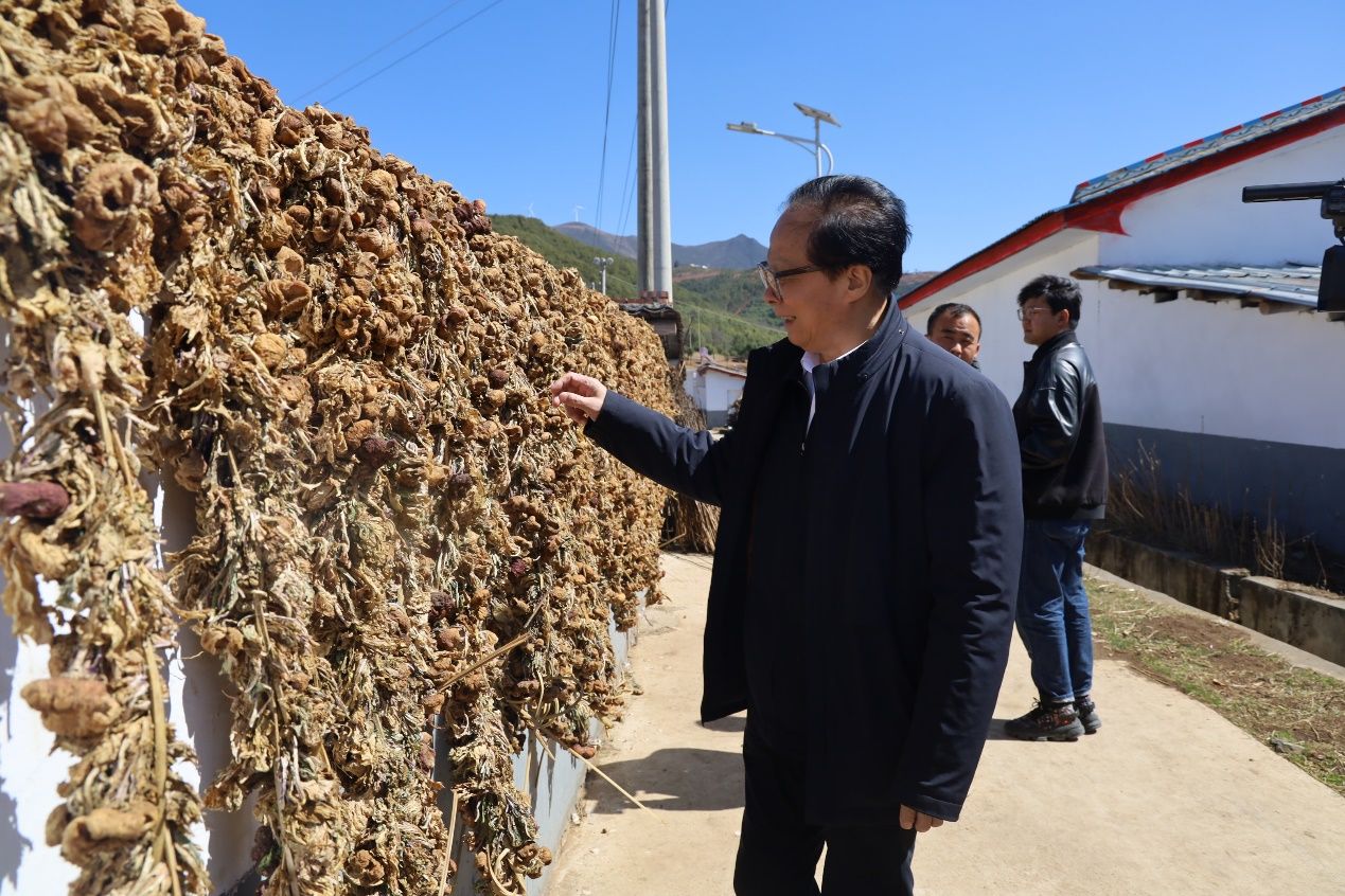 全国人大代表耿福能走基层调研乡村全面振兴工作