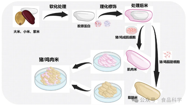 鸡肉/猪肉系列米制品研发成功