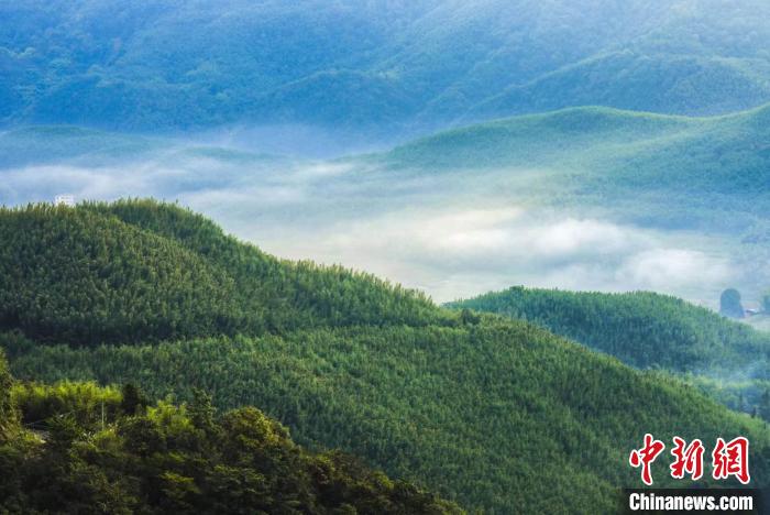 （身边的变化）推动“和美乡村”绿色发展 专家聚焦探讨明月山绿色发展示范带