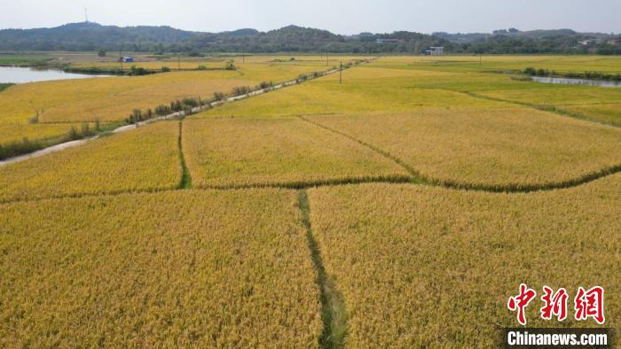 湖南祁阳发展绿色农业为种植提供科学依据